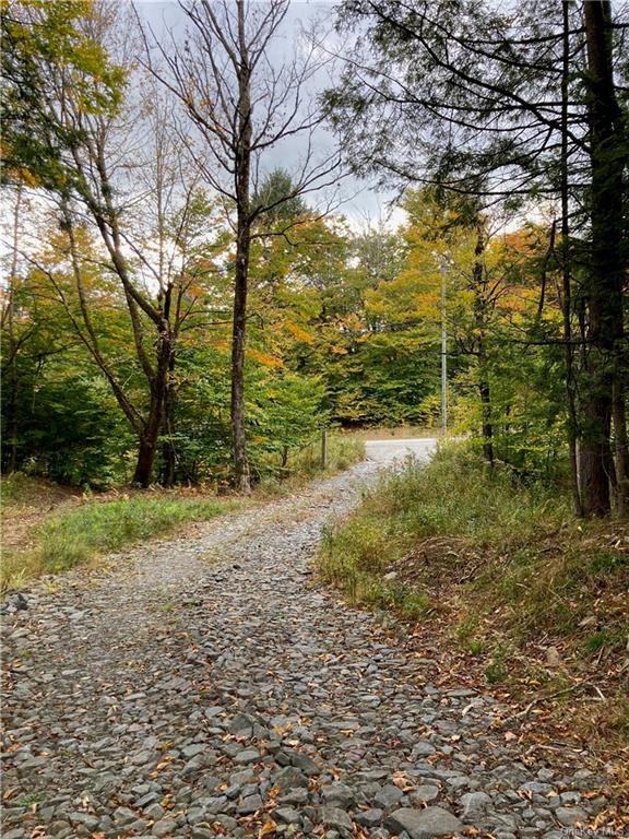 Land Kenoza  Sullivan, NY 12750, MLS-H6271468-10