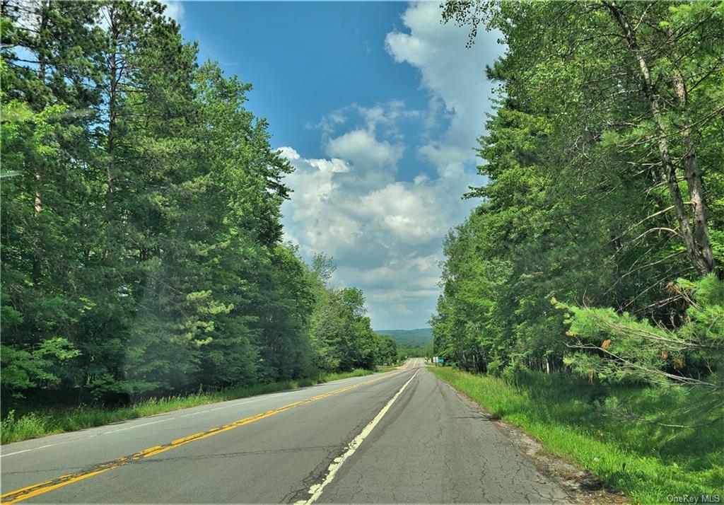 Land Interstate 86 Access Road/ Sheehan  Sullivan, NY 12754, MLS-H6257500-10