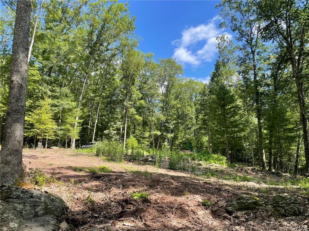 Land Naomi Dr / State Route 97  Sullivan, NY 12726, MLS-H6267505-10