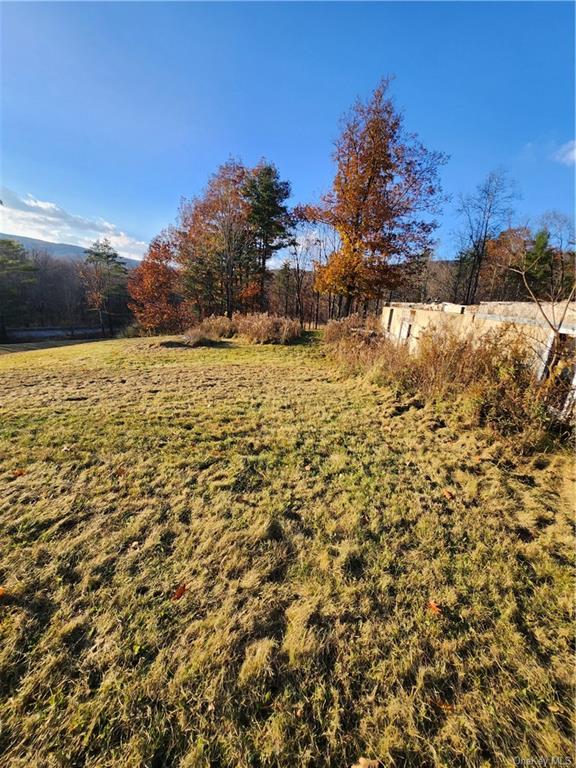 Land Smith  Out Of Area, NY 12469, MLS-H6278519-10