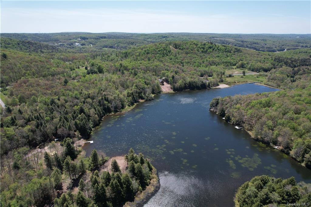 Land Eagles Ridge  Sullivan, NY 12768, MLS-H6232574-10