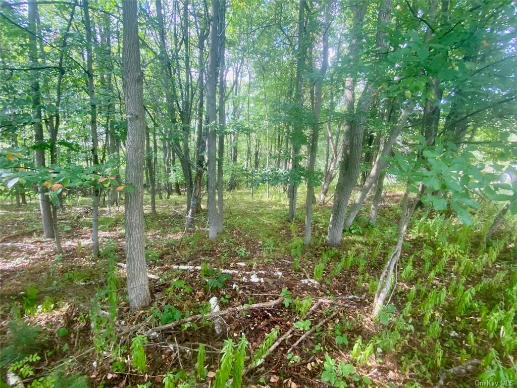 Land Broadway  Sullivan, NY 12701, MLS-H6239591-10