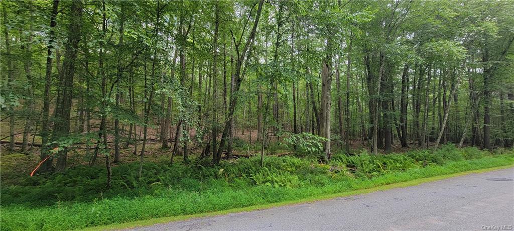 Land Hawks Nest  Out Of Area, NY 18428, MLS-H6265593-10