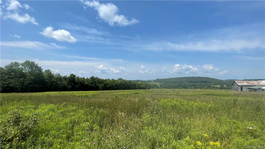 Land Beechwoods  Sullivan, NY 12723, MLS-H6141596-10