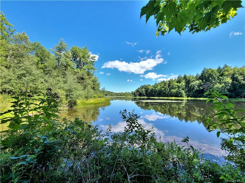 Land Beaver Lake  Sullivan, NY 12758, MLS-H6232604-10