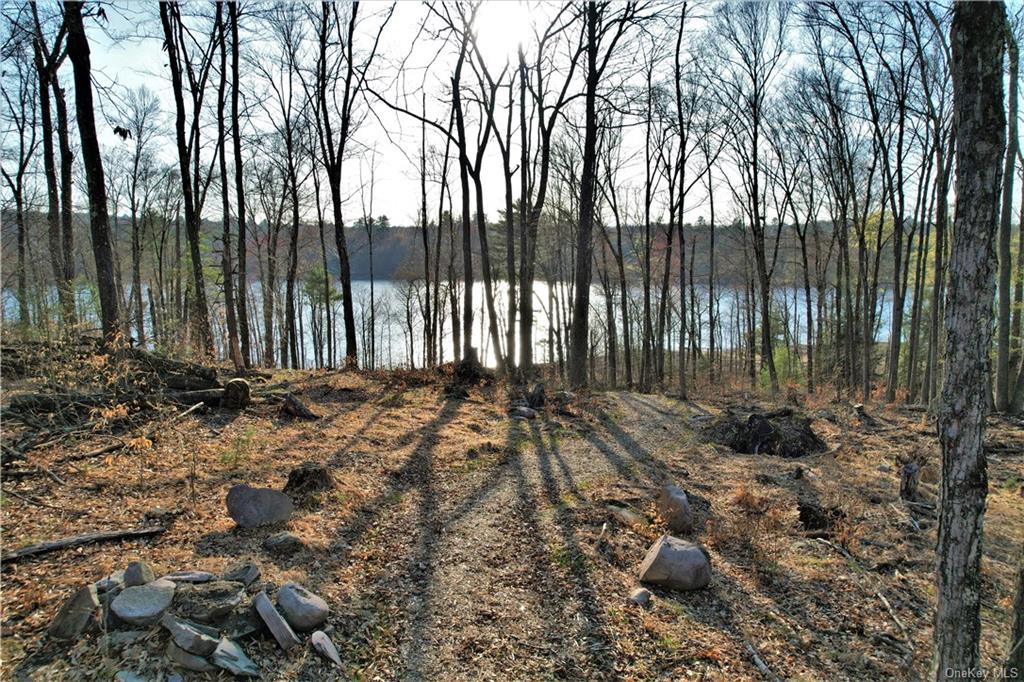 Land Plank  Sullivan, NY 12777, MLS-H6266634-10