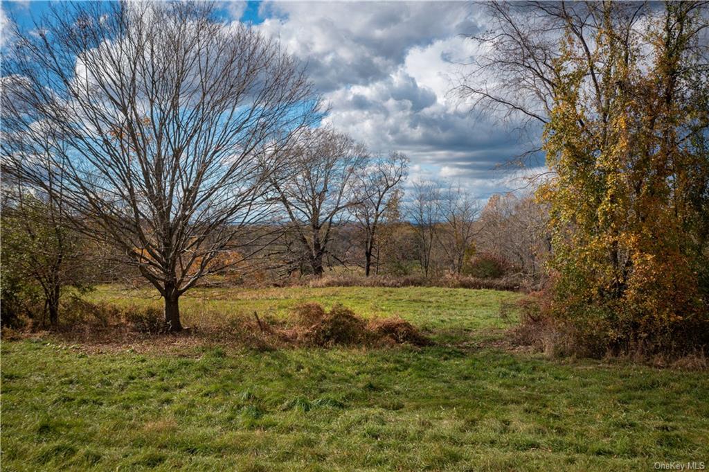 Land Willow Pond  Dutchess, NY 12540, MLS-H6274634-10