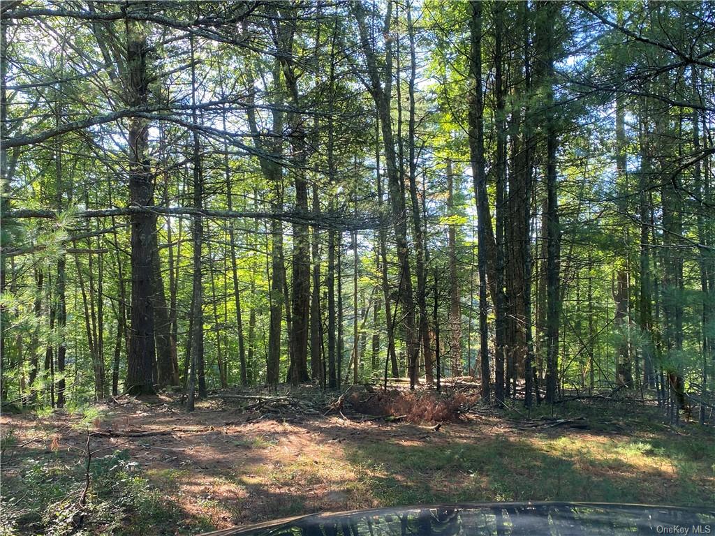 Land Stag Forest  Sullivan, NY 12777, MLS-H6268672-10