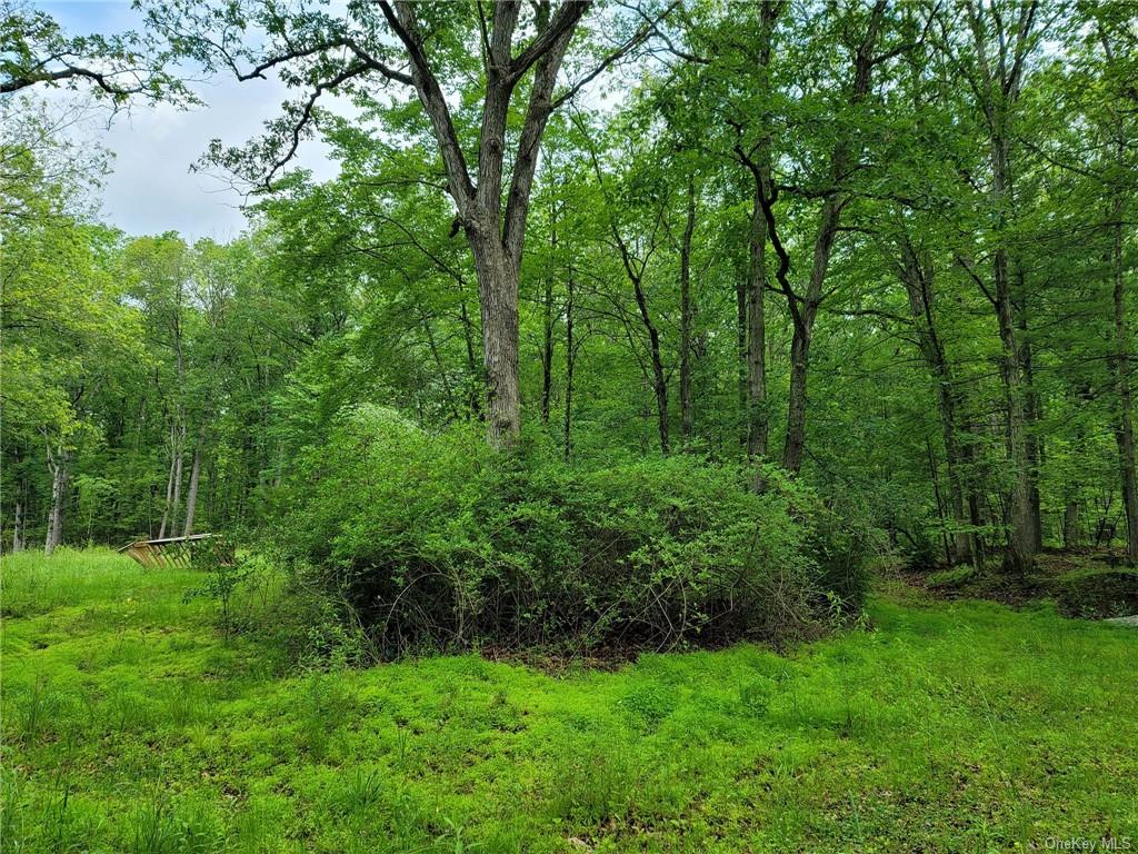 Land Route 97  Sullivan, NY 12764, MLS-H6257688-10