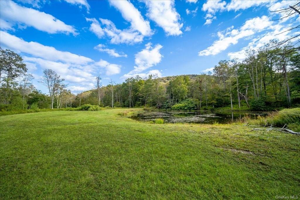 Land Old Liberty  Sullivan, NY 12758, MLS-H6269690-10