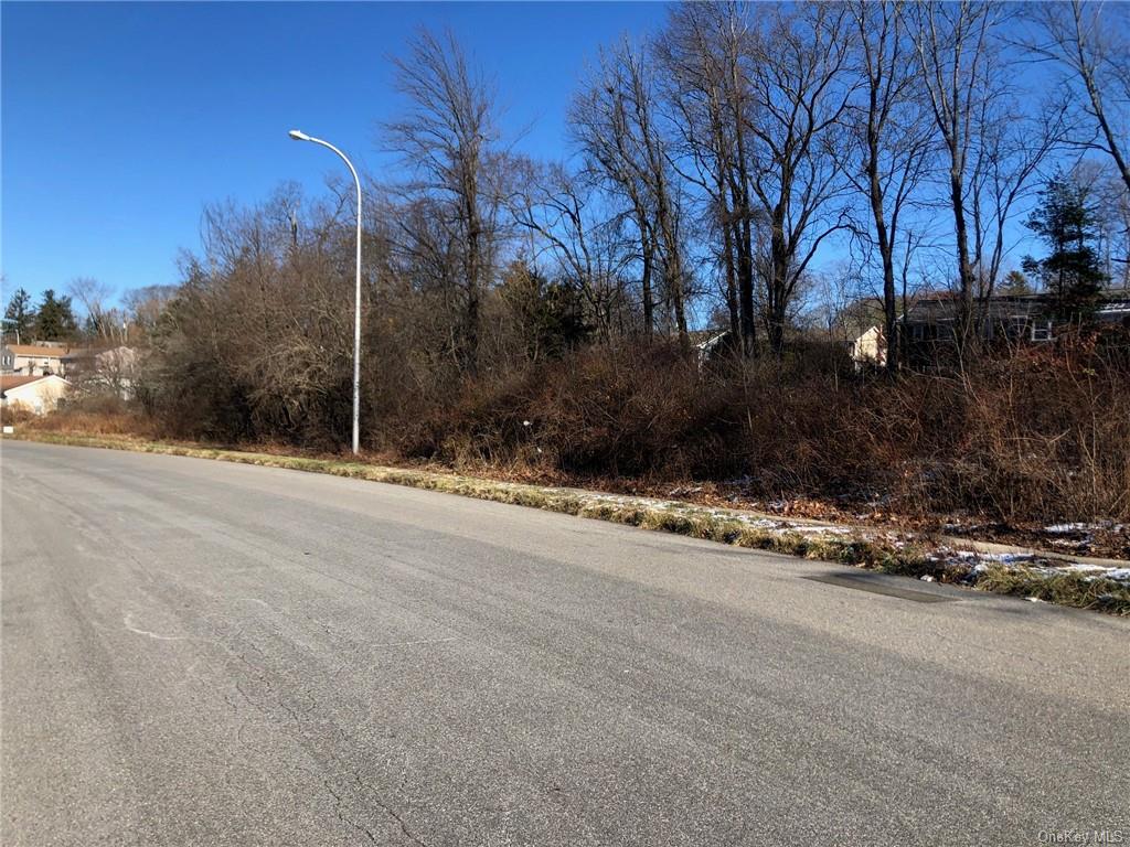 Land Front  Westchester, NY 10598, MLS-H6276695-10