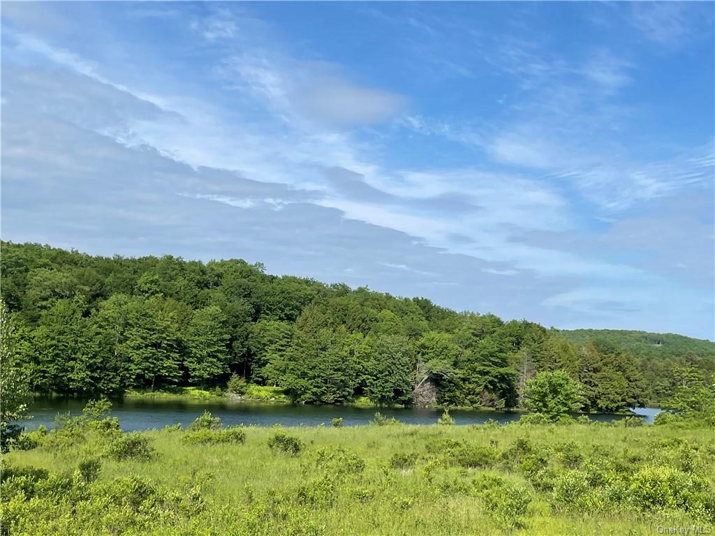 Land Tanzman  Sullivan, NY 12768, MLS-H6123698-10