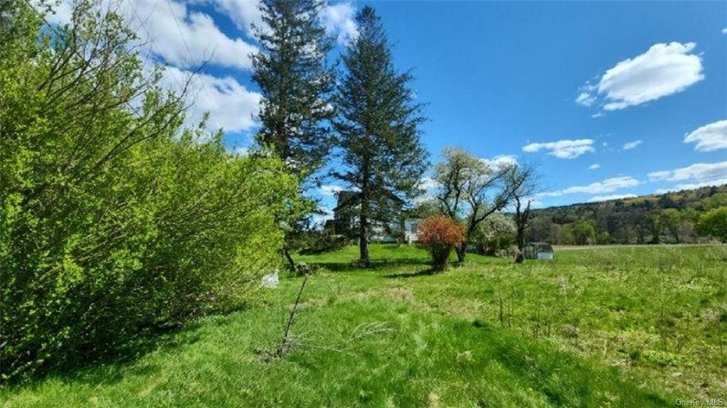 Land Cochecton  Sullivan, NY 12726, MLS-H6177700-10