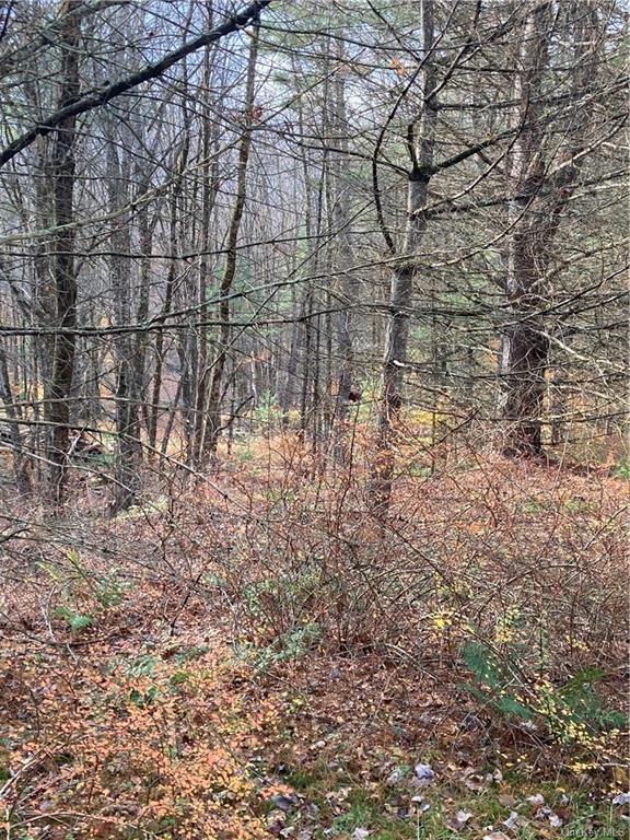 Land Plank  Sullivan, NY 12762, MLS-H6274706-10