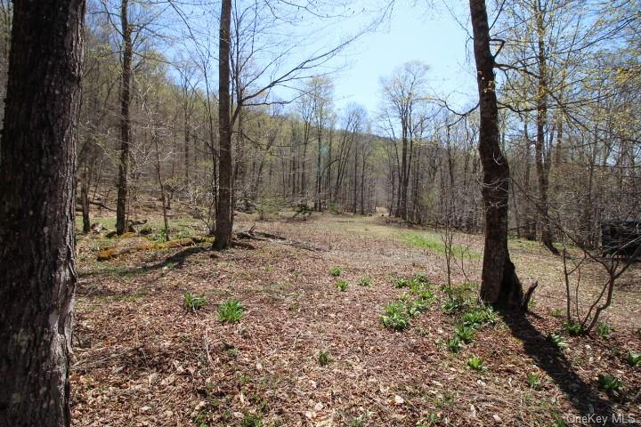 Land Cattail  Sullivan, NY 12758, MLS-H6244708-10