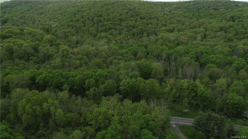 Land State Route 82  Columbia, NY 12502, MLS-H6239710-10