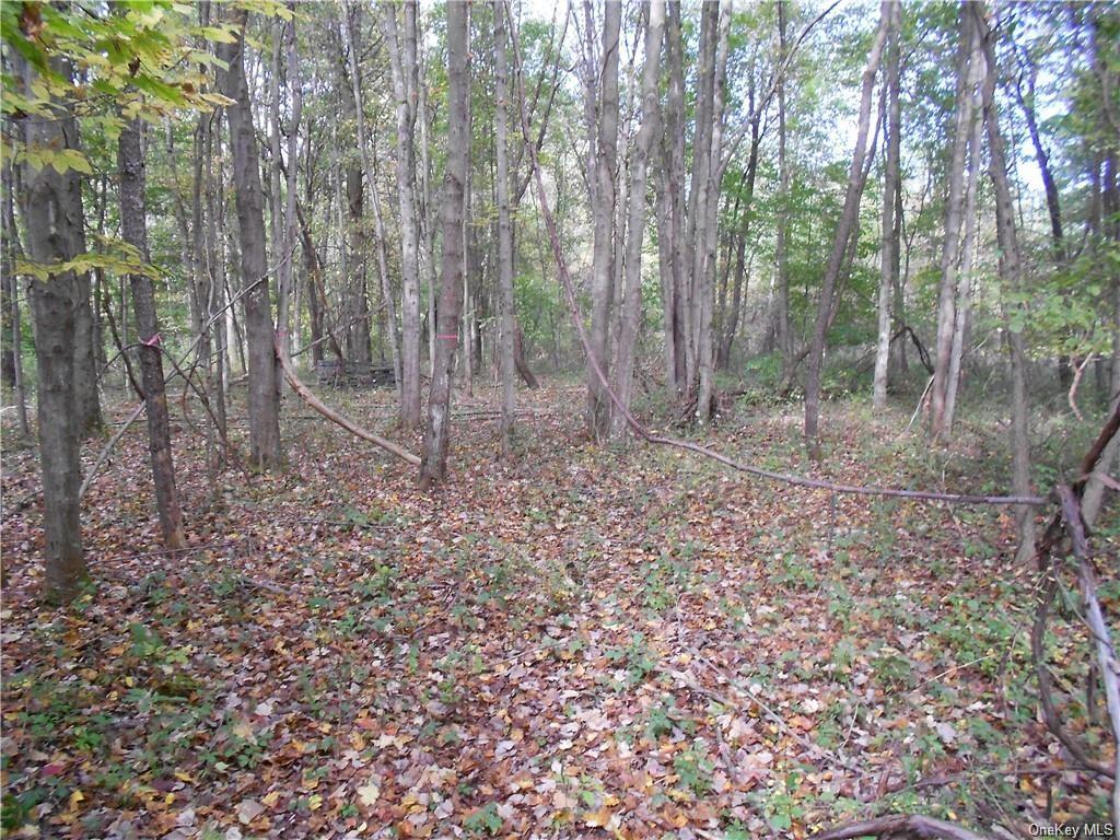 Land State Route 32  Ulster, NY 12548, MLS-H6265719-10