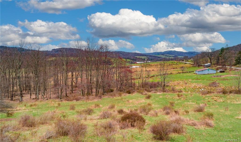 Land Peters  Sullivan, NY 12736, MLS-H6256722-10