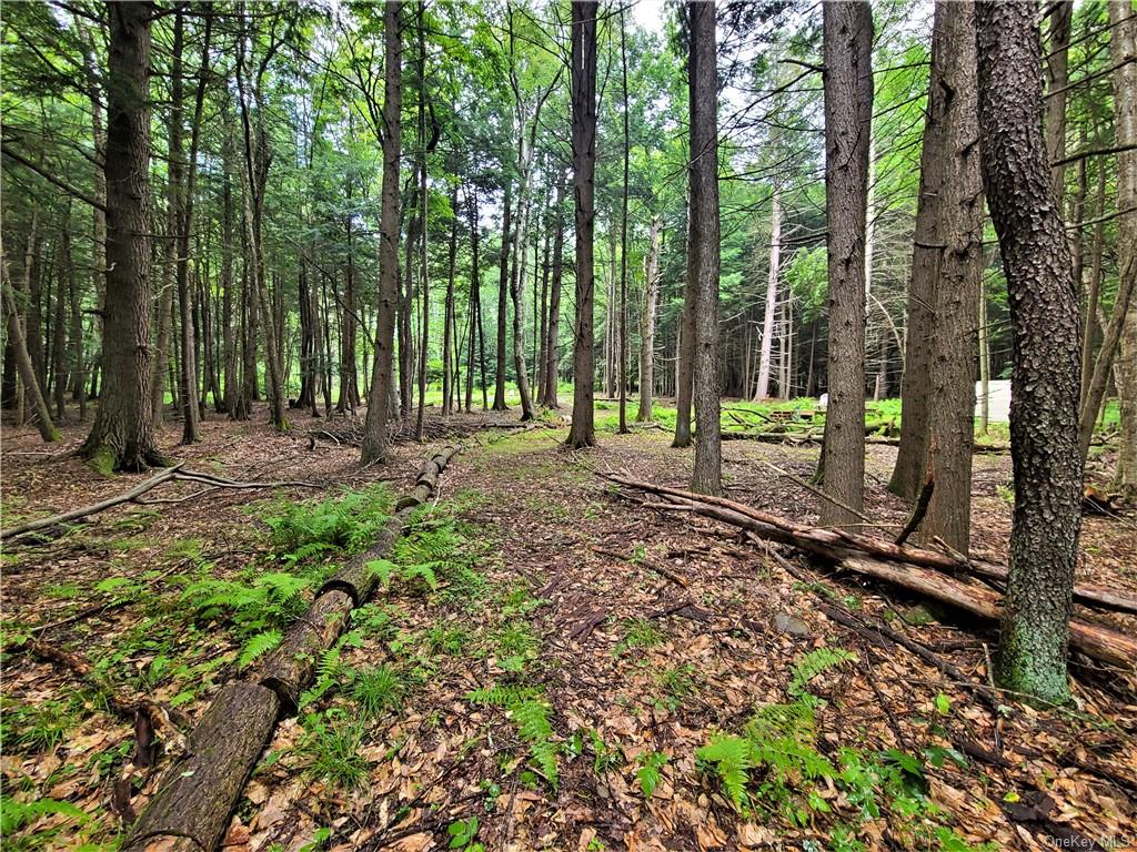 Land Goldsmith  Sullivan, NY 12783, MLS-H6258729-10