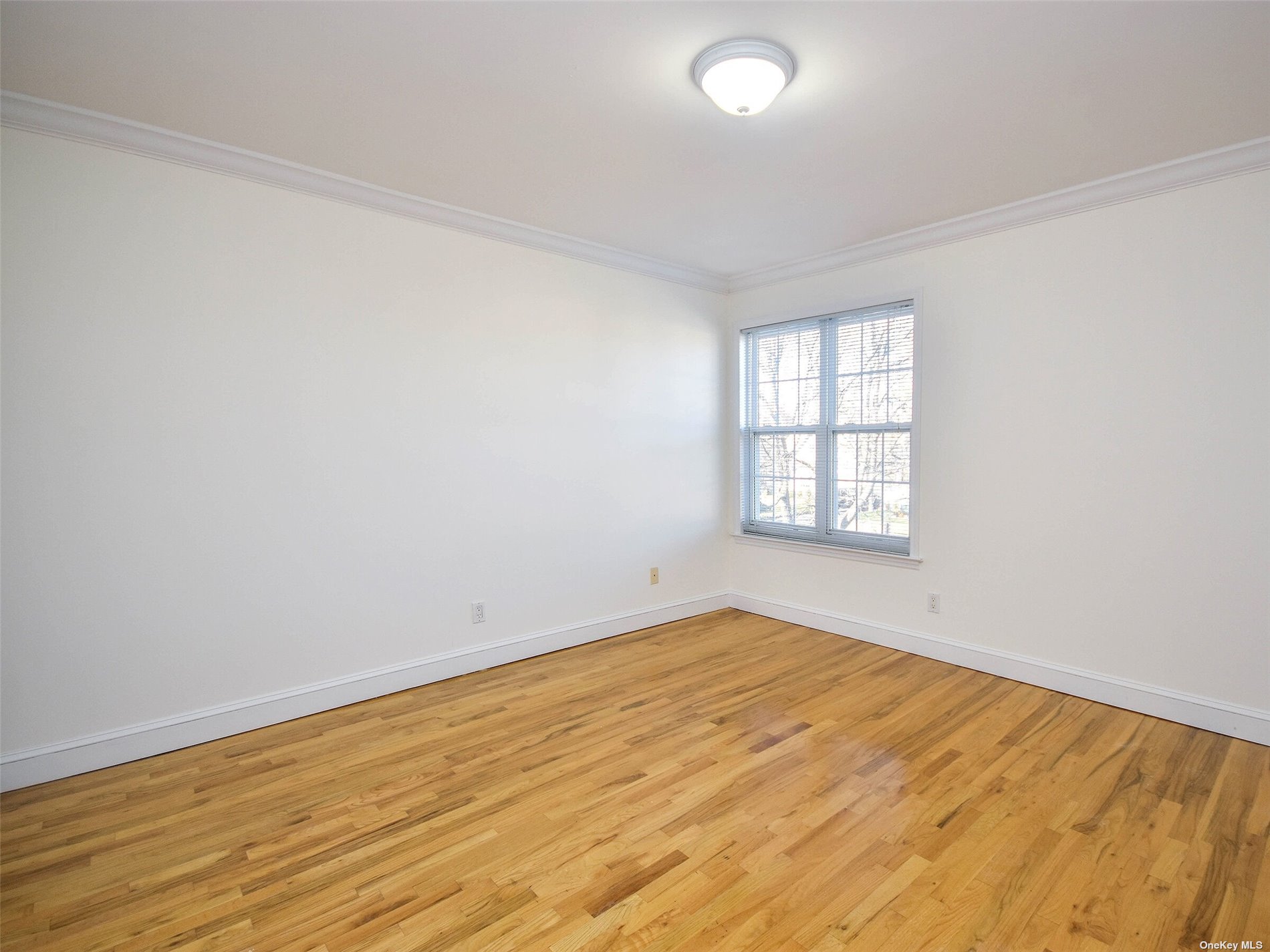 Apartment Nesaquake  Nassau, NY 11050, MLS-3515740-10