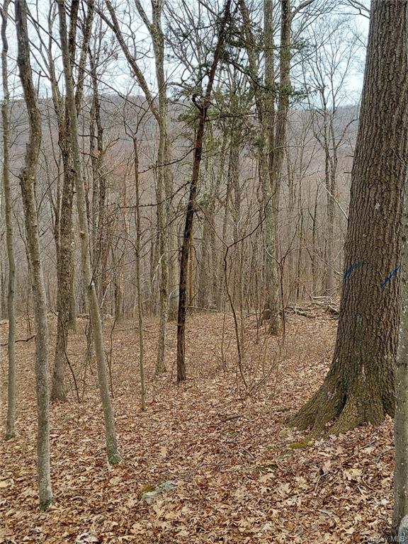 Land Grape Hollow  Dutchess, NY 12531, MLS-H6241803-10