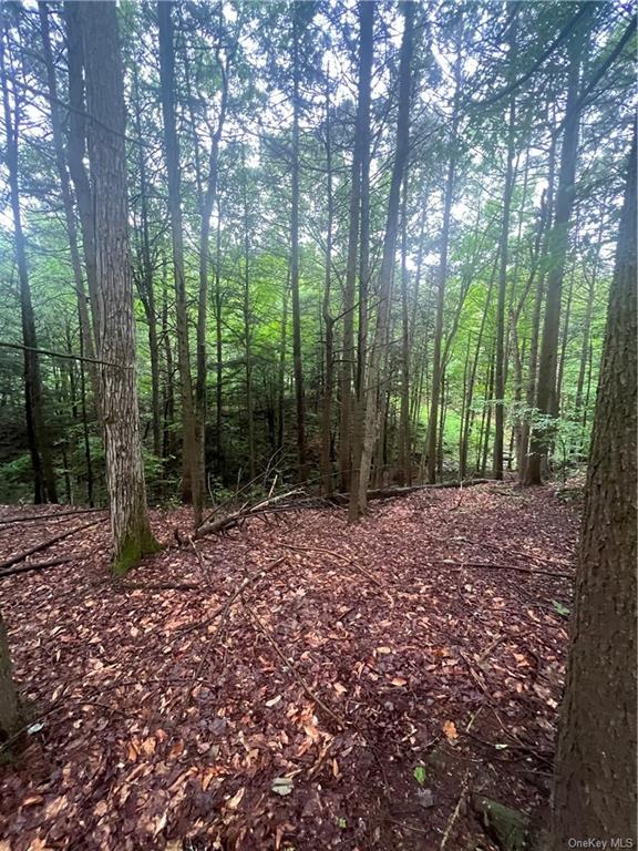 Land Big Hollow  Sullivan, NY 12765, MLS-H6256806-10