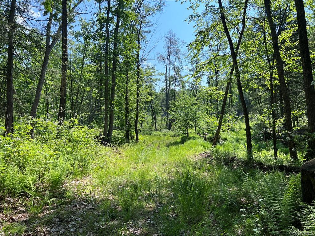 Land Gables  Sullivan, NY 12764, MLS-H6252813-10