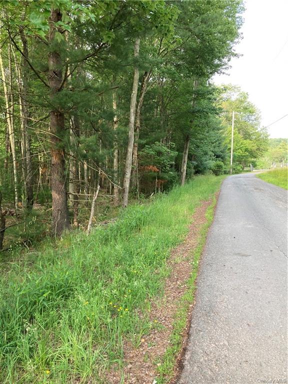 Land Nys Hwy 55  Sullivan, NY 12720, MLS-H6255816-10