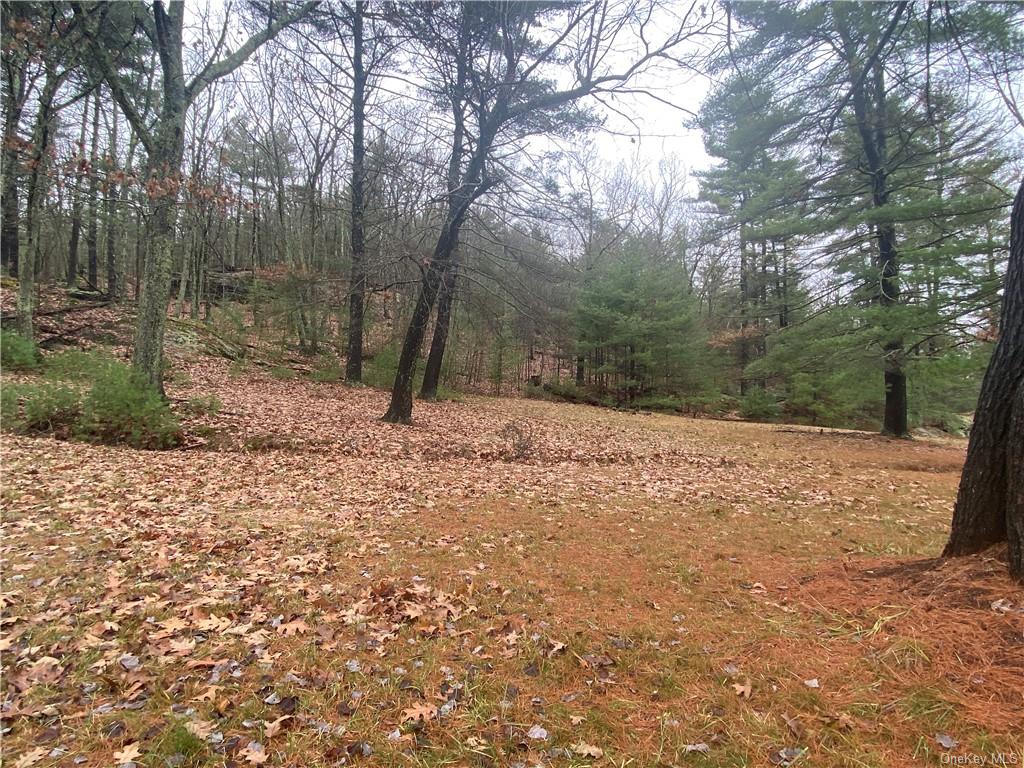 Land Diane  Ulster, NY 12428, MLS-H6223846-10