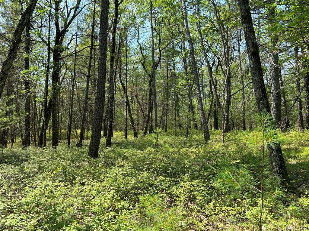 Land Clendening  Ulster, NY 12484, MLS-H6259859-10