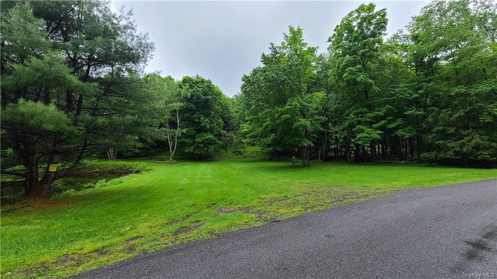 Land Dingle Daisy  Sullivan, NY 12701, MLS-H6204867-10