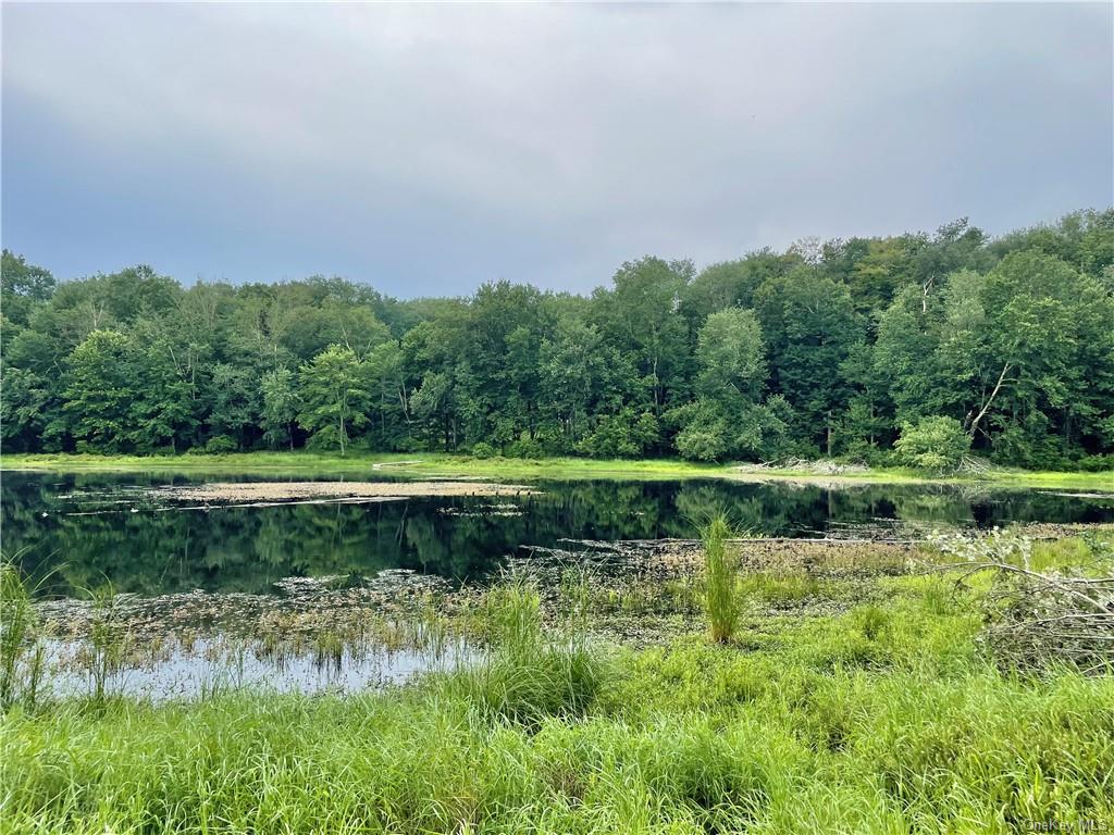 Land Cty Hwy 141 - Horseshoe Lake Rd Lots 10.7 & 10.9  Sullivan, NY 12720, MLS-H6240873-10