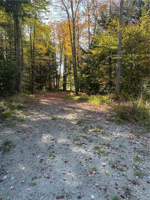 Land Eagles Ridge  Sullivan, NY 12768, MLS-H6271898-10