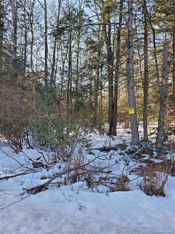 Land Red Star  Ulster, NY 12435, MLS-H6236955-10
