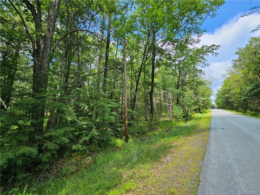 Land Barker/rowley  Sullivan, NY 12528, MLS-H6257962-10