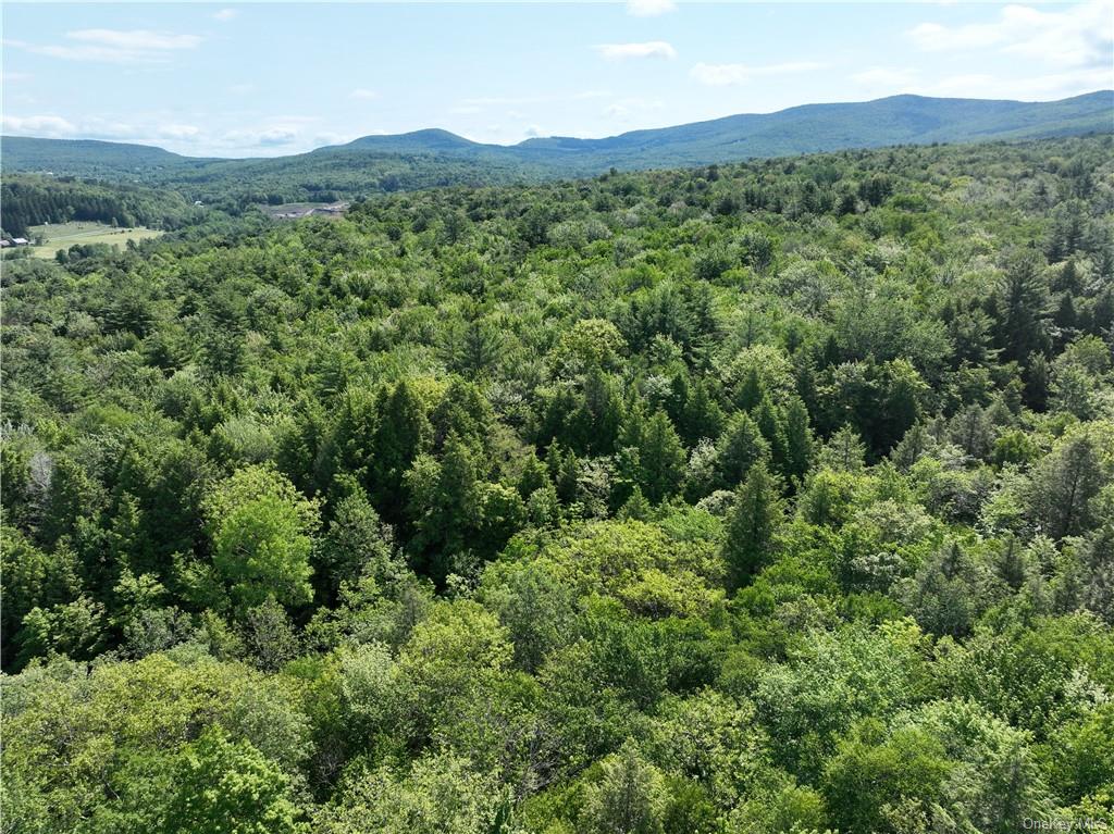 Land Beaver Hill  Out Of Area, NY 12076, MLS-H6268966-10