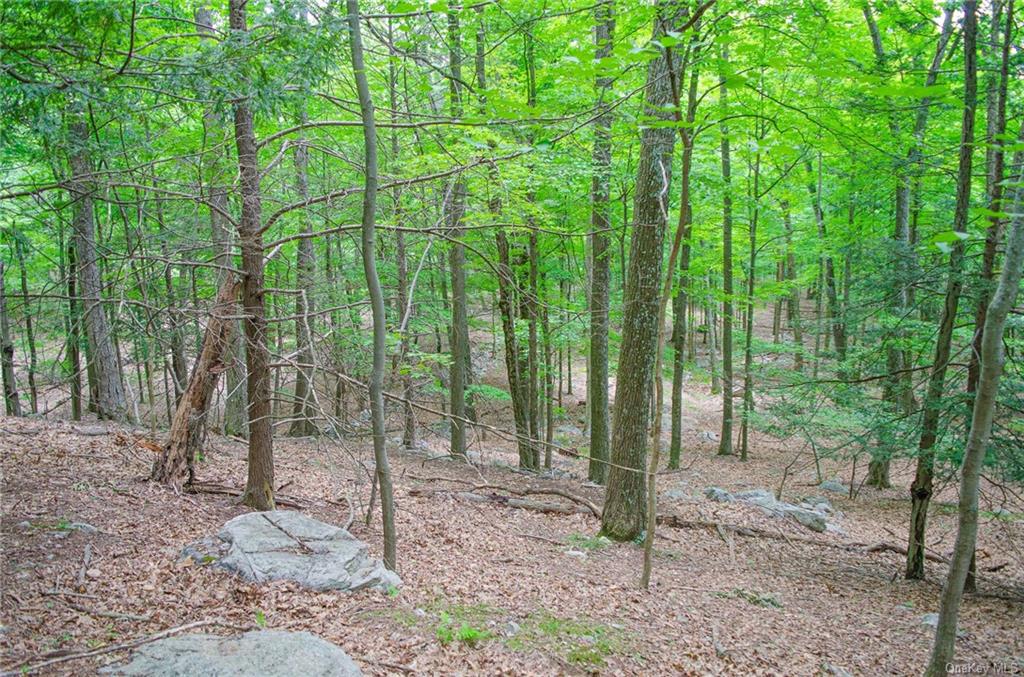 Land Mountain  Ulster, NY 12525, MLS-H6197967-10