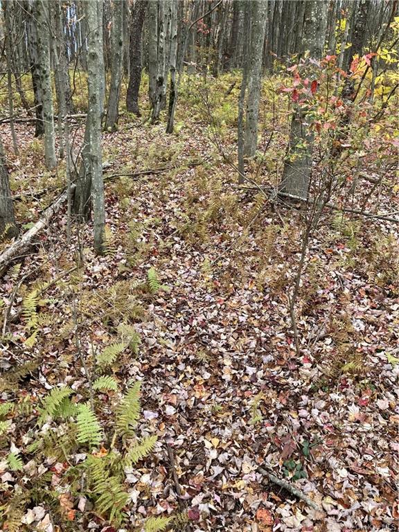 Land Big Woods  Sullivan, NY 12472, MLS-H6274967-10