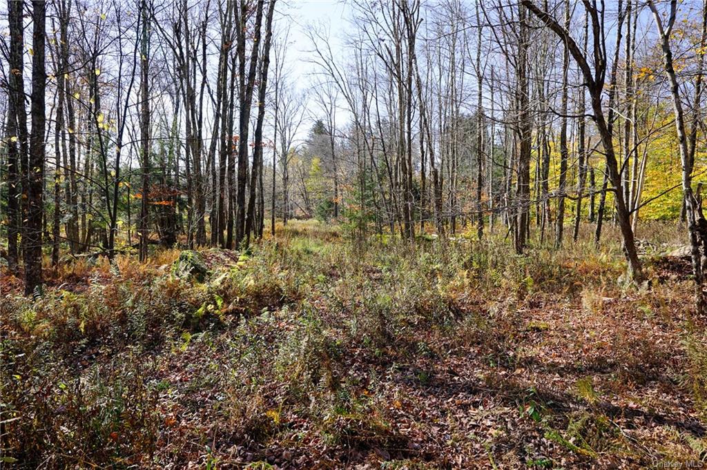 Land Amber Lake  Sullivan, NY 12758, MLS-H6150969-10