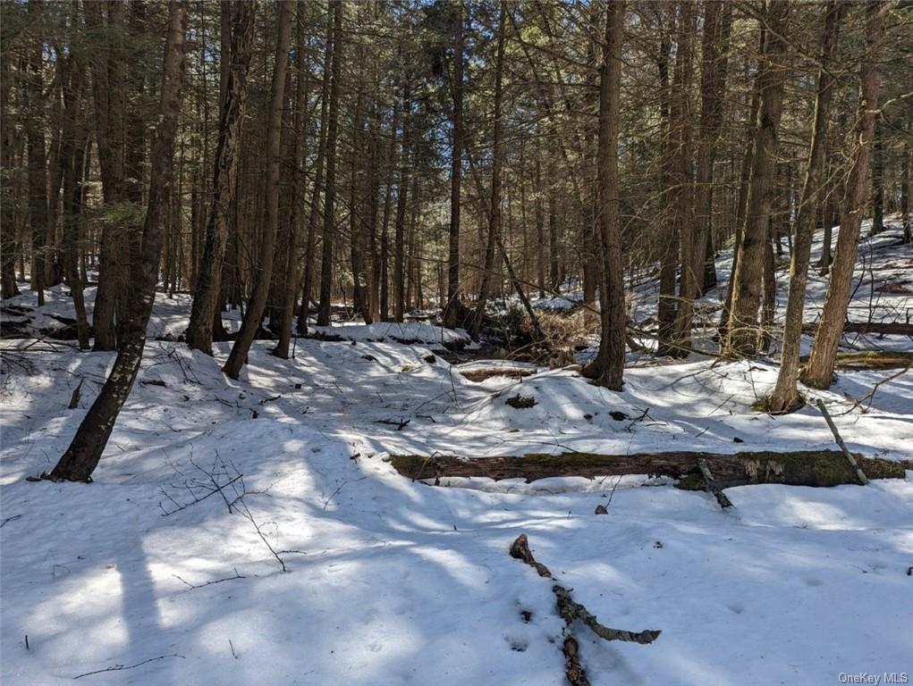 Land Likel  Sullivan, NY 12748, MLS-H6238970-10