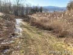 Land Mill  Dutchess, NY 12572, MLS-H6279982-10