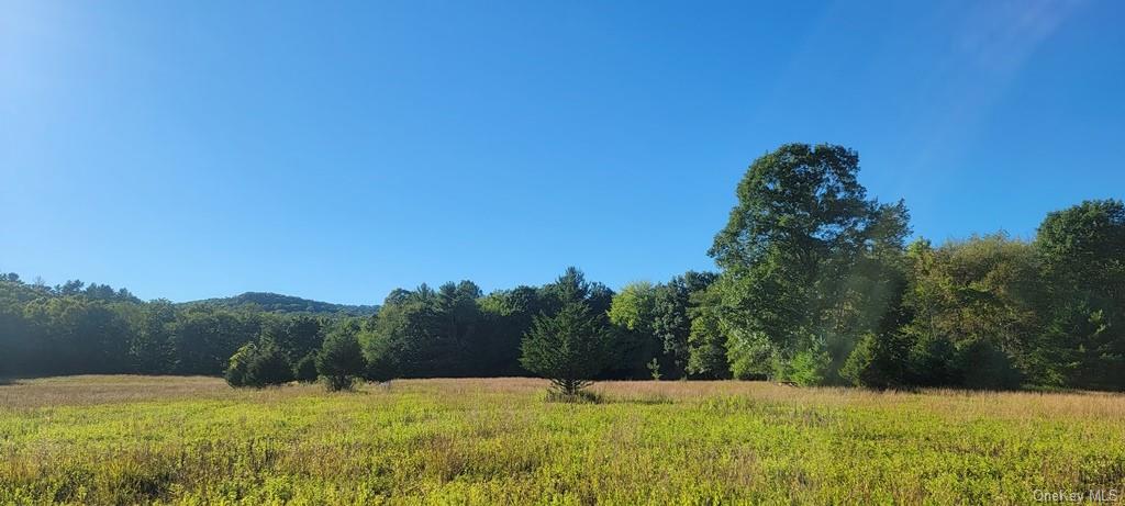 Land Meyerson  Sullivan, NY 12790, MLS-H6207993-10