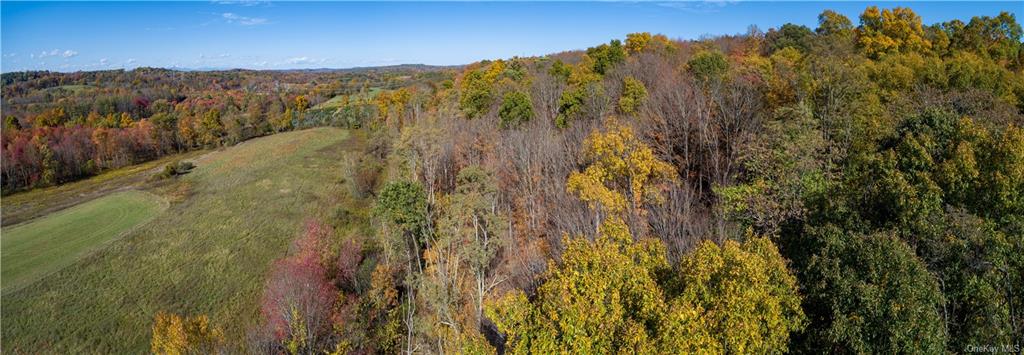 Land Traver  Dutchess, NY 12569, MLS-H6272015-11