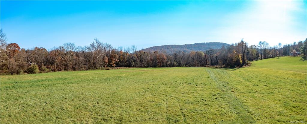 Land Cricket Hill  Dutchess, NY 12522, MLS-H6277028-11