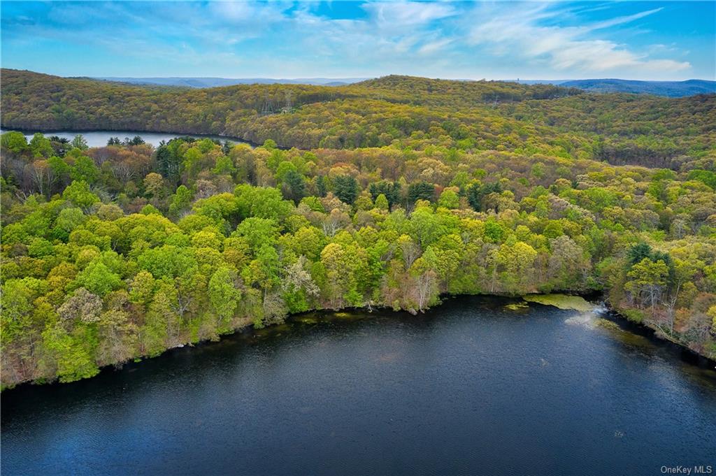 Land Pierson Lakes  Rockland, NY 10974, MLS-H6246062-11