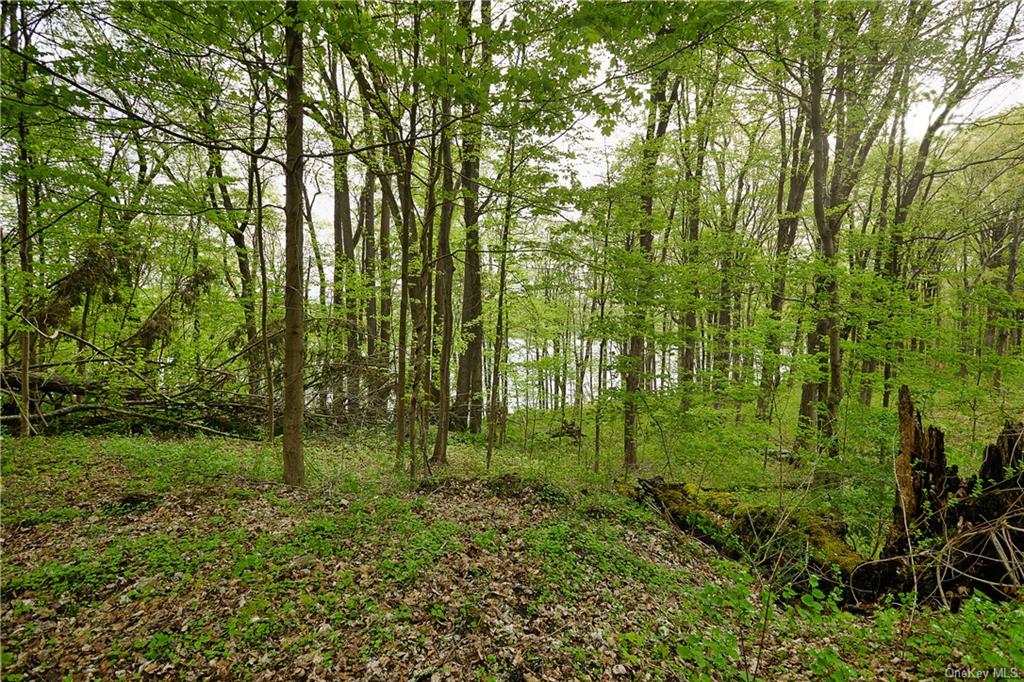 Land Pierson Lakes  Rockland, NY 10974, MLS-H6246067-11