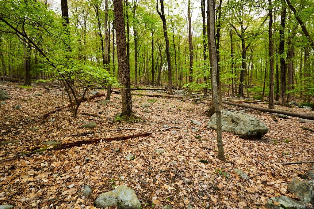 Land Springhouse  Rockland, NY 10974, MLS-H6246071-11