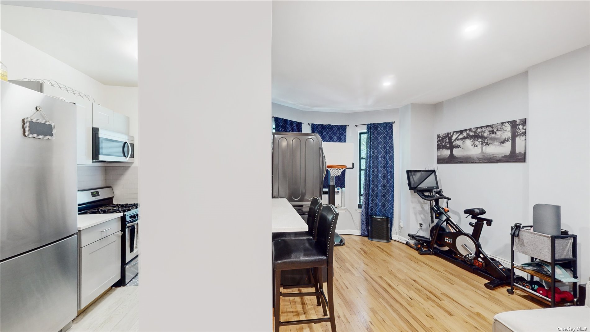 Three Family Bryant  Bronx, NY 10474, MLS-3506085-11