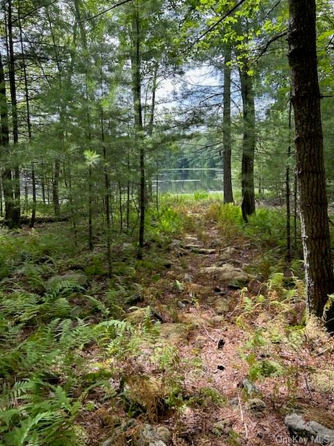 Land County Route 31  Sullivan, NY 12737, MLS-H6257089-11