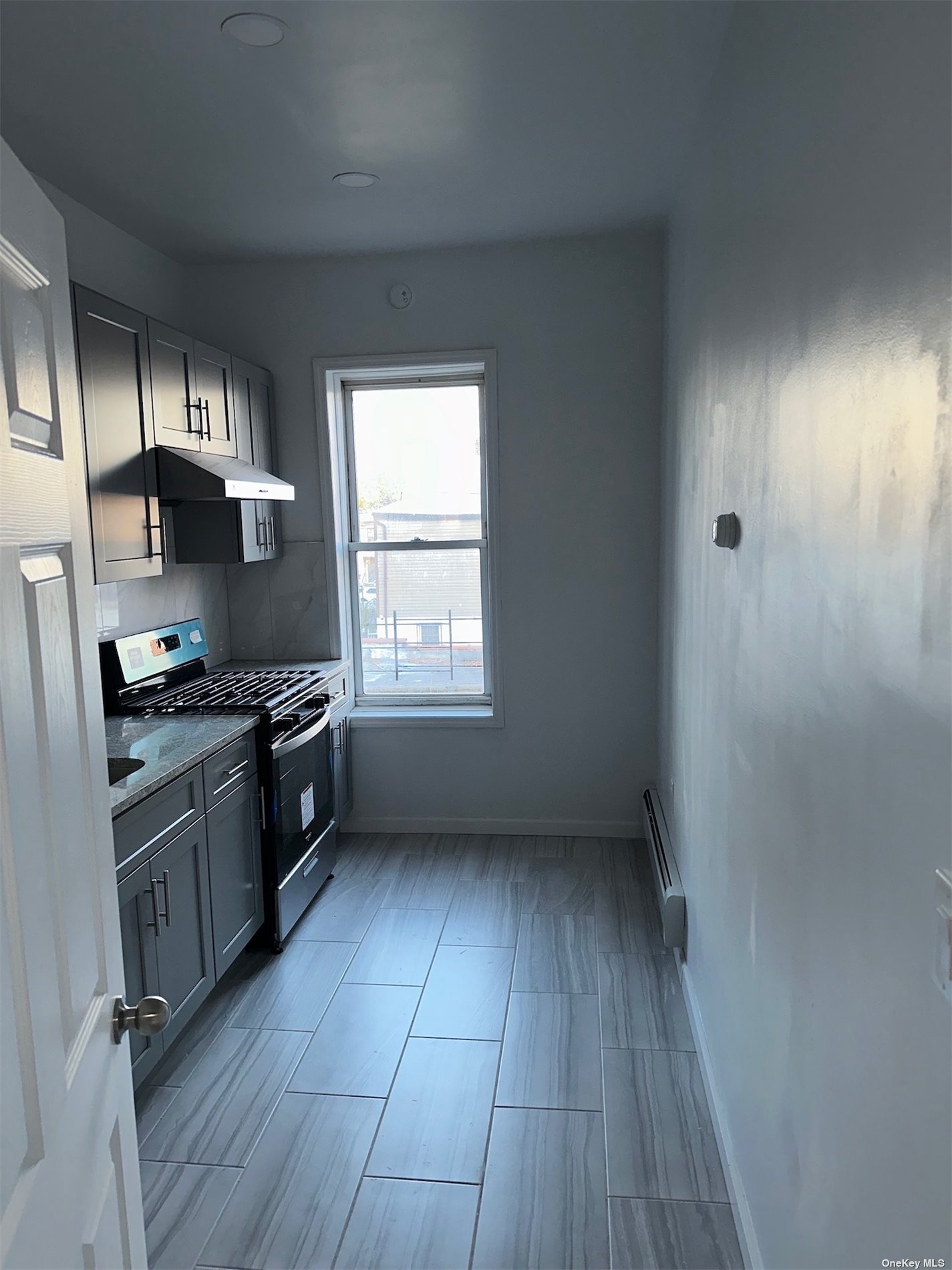 Apartment Grant  Brooklyn, NY 11208, MLS-3514149-11